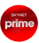 Skynet Prime